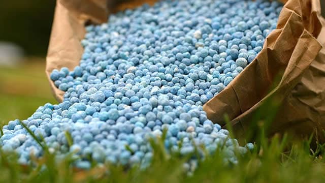 CF Industries (CF) Q2 Revenue Jumps 20%