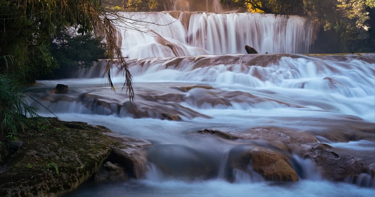 Decoding "QQQY Dividend History": A Comprehensive Guide for Income Investors