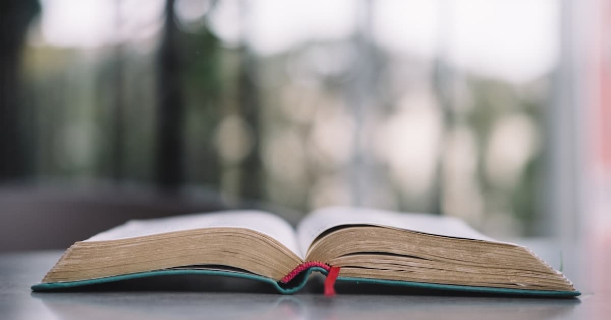 Decoding the Solventum Stock Price: Analysis, Drivers, and Future Outlook