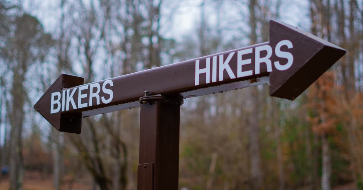 Decoding the AMDY Dividend History: A Deep Dive for Investors