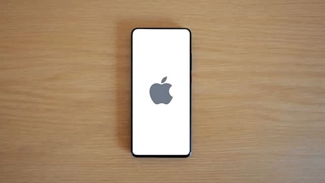 Apple growers in Indian Kashmir face crippling losses from floods, road closures