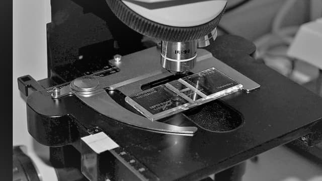 Ingersoll (IR) Q2 Earnings: Taking a Look at Key Metrics Versus Estimates