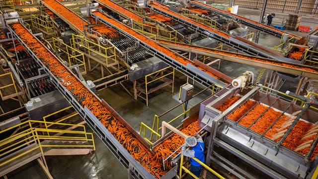 Tyson Foods up 4.4% ahead of the bell after earnings busting third-quarter